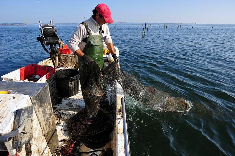 Fileyeur Arcachon ab8.JPG